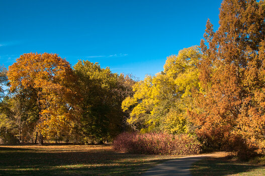 DSC_2394.jpg
