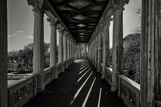 _8503109 b&w.jpg