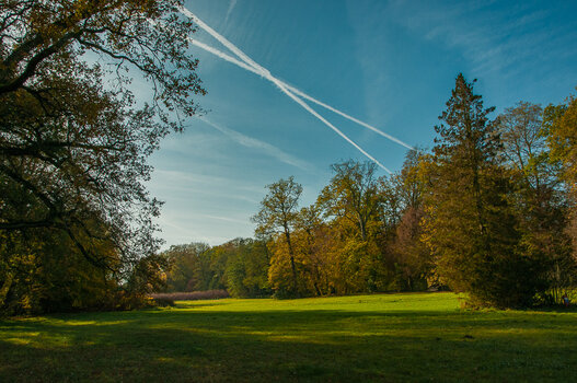 DSC_8166-Bearbeitet.jpg