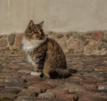 DSC_8117-Bearbeitet.jpg