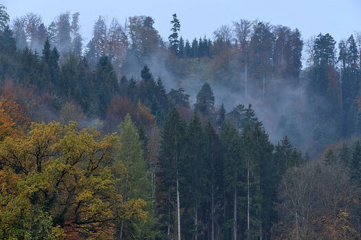 DSC_2675.JPG