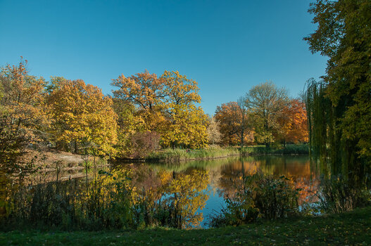 DSC_8270.jpg