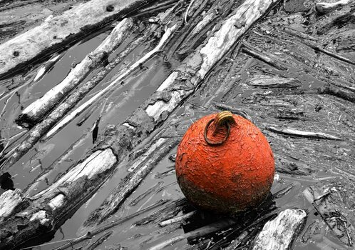 _DSC0210_2650320_00001.jpg