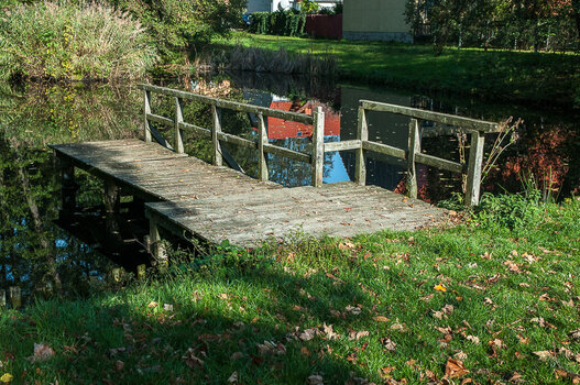 DSC_8146.jpg