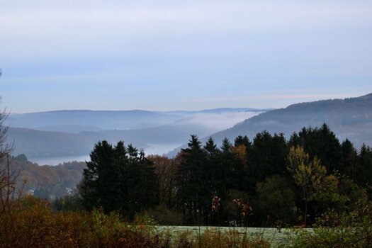 DSC_0109_00001.jpg