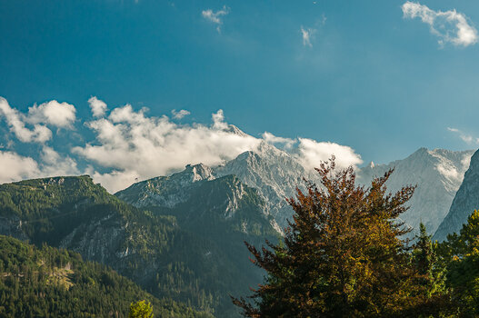DSC_7584-Bearbeitet-2.jpg