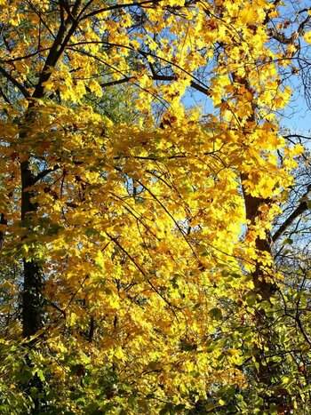 2019-11-24_09-14-35.jpg