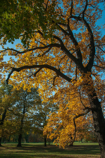 DSC_8268.jpg