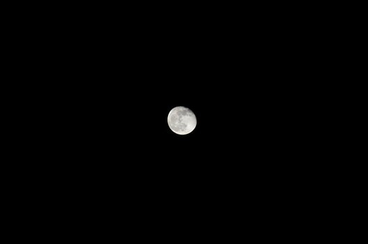 DSC_0410.JPG