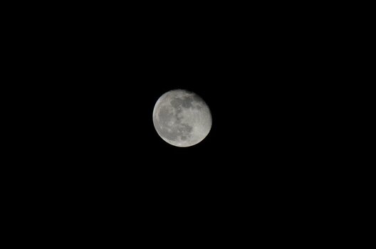 DSC_0416.JPG