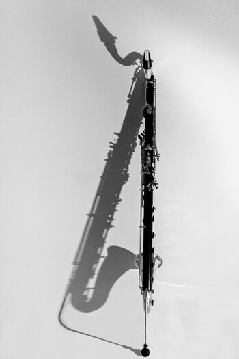Schatten Bassklarinette.jpg