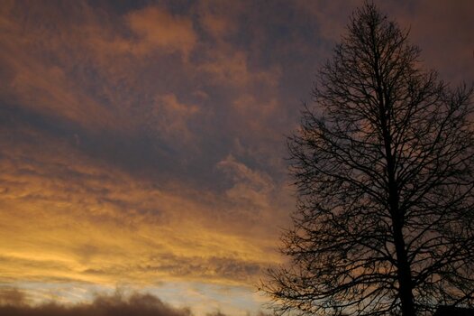 DSC_7633.JPG