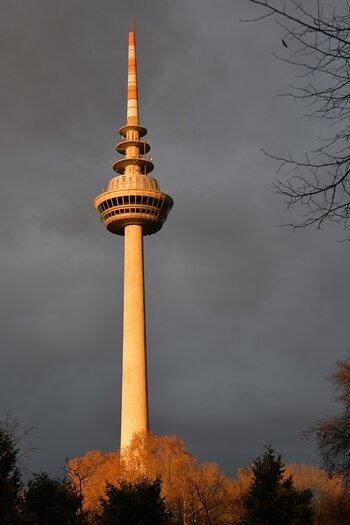 WRU_8766.JPG
