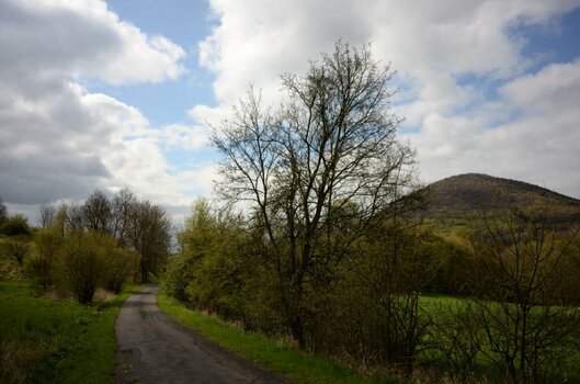 DSC_0385k.JPG