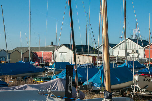 DSC_8331.jpg