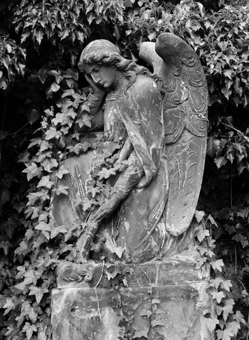 DSC_2326-01-01.jpeg