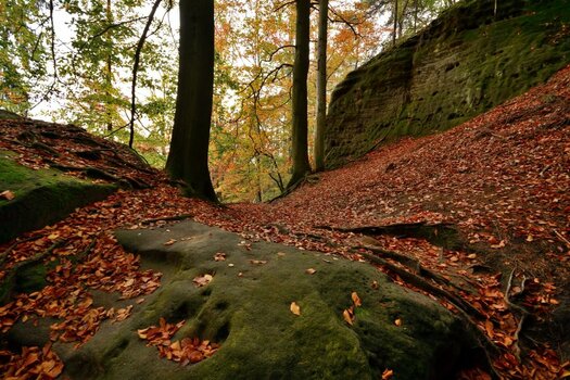 DSC_0059_00001c.jpg