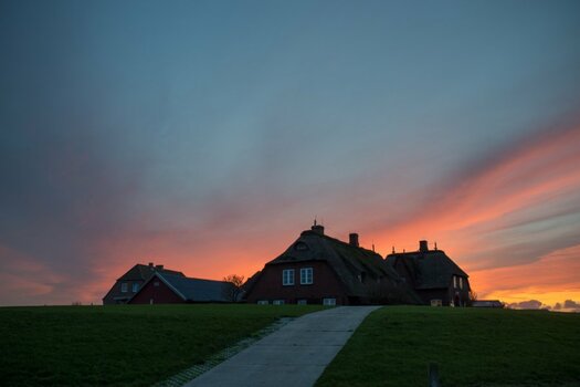 ND4_0781.jpg