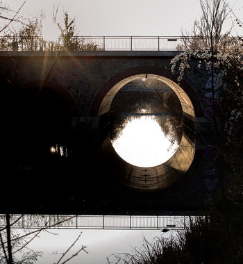 DSC_0419-Bearbeitet.jpg