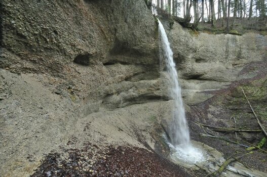 _DSC1180.jpg