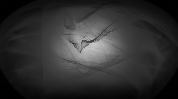 008_N8.jpg