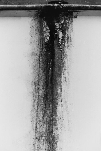 030_N30.jpg