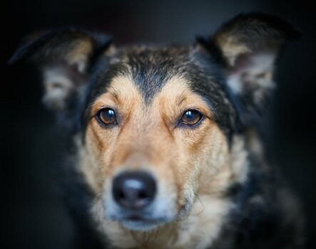 DSC_2899.jpg DSC_2899.jpg