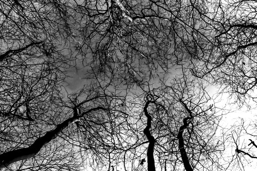 022_N22.jpg