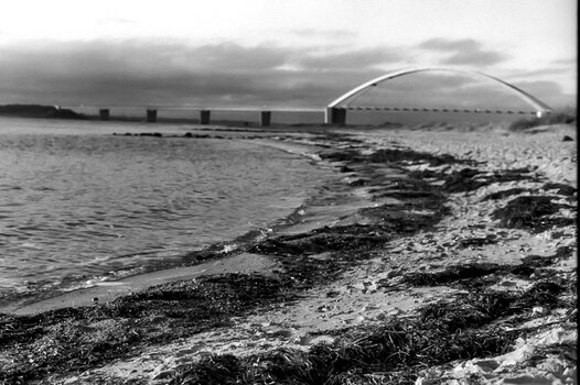016_N16.jpg