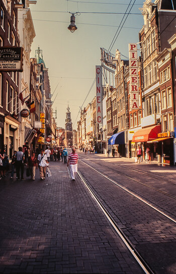 DSC_8406.jpg