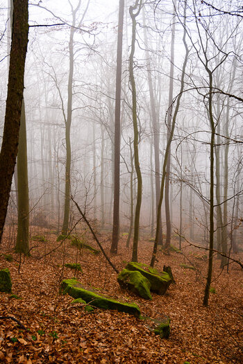DSC_0188.jpg