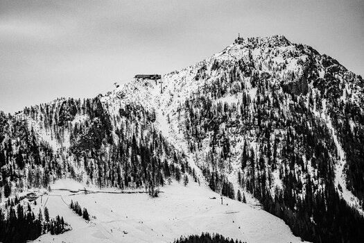 _DSC1051.jpg