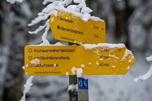_DSC1765.jpg