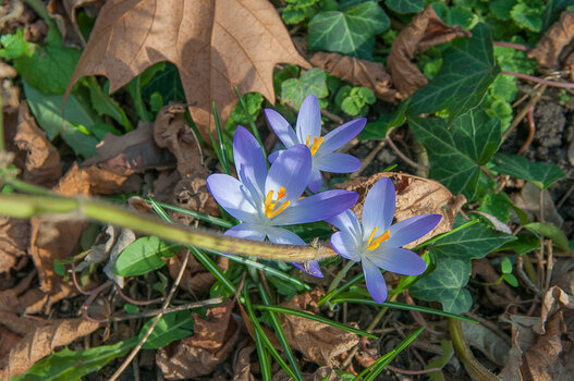DSC_8459.jpg