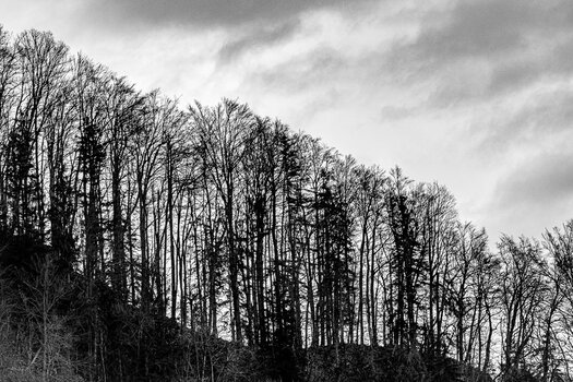 _DSC1025.jpg