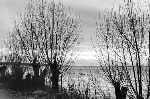028_N28.jpg