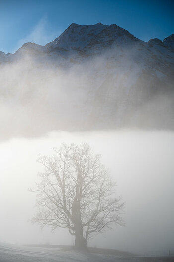 Sils-Lenzerheide-Altdorf-7045-Bearbeitet.jpg