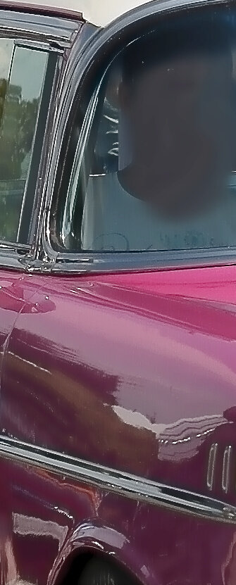 DSC_3881a.jpg