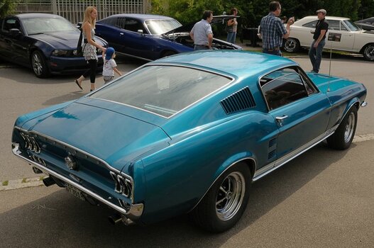 DSC_3838crop.jpg