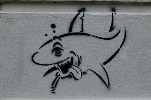 DSC_0090_00016_00001.jpg