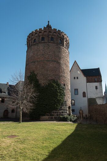 DSC_0743.jpg