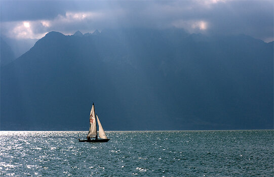 Photo contest thumbnail