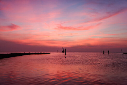 Photo contest thumbnail