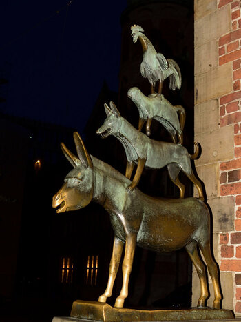_DSC0300_00139_00001.jpg