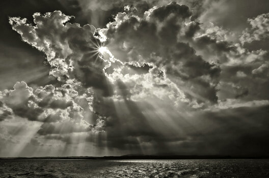 Photo contest thumbnail