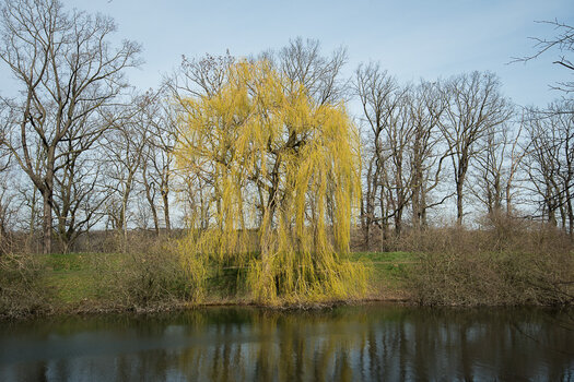 DSC_1054.jpg