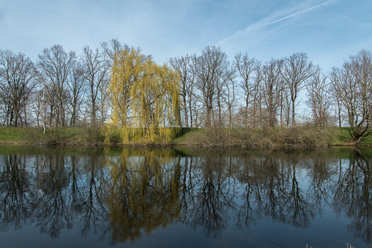 DSC_1053.jpg