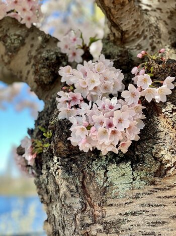 IMG_E2791.jpg
