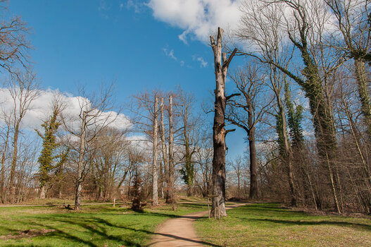 DSC_8578-Bearbeitet.jpg