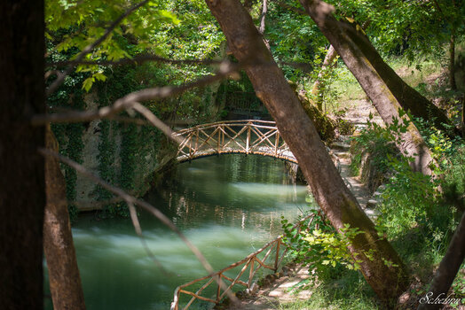 DSC_2367.jpg